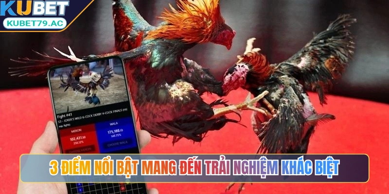 3 điểm nổi bật mang đến trải nghiệm khác biệt
