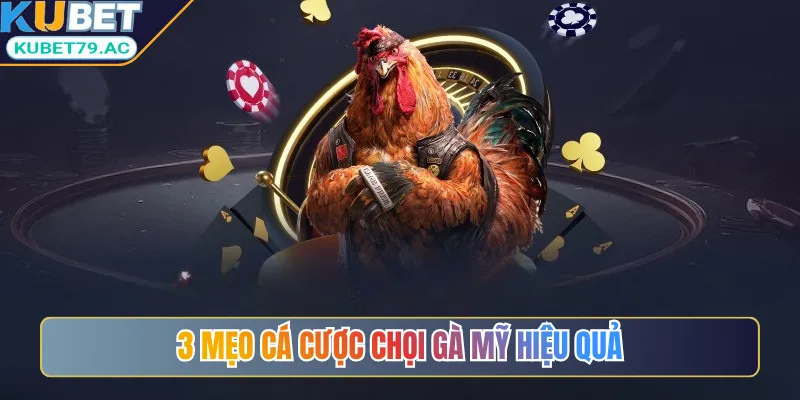 3 mẹo cá cược chọi gà Mỹ hiệu quả