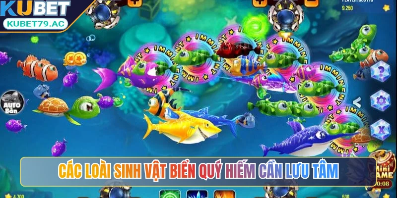 Các loài sinh vật biển quý hiếm cần lưu tâm