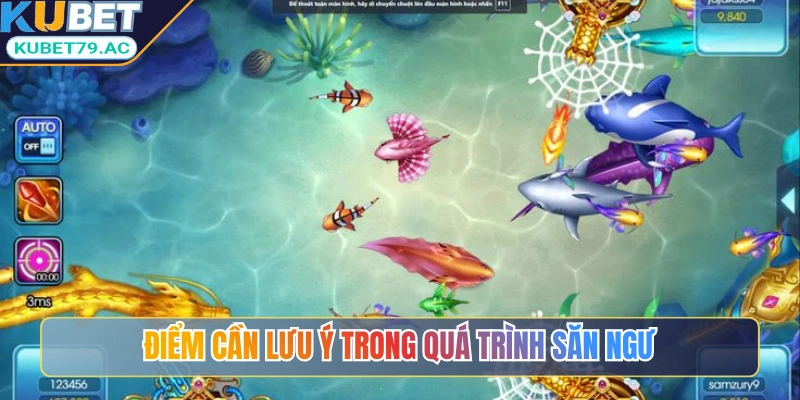 Điểm cần lưu ý trong quá trình săn ngư