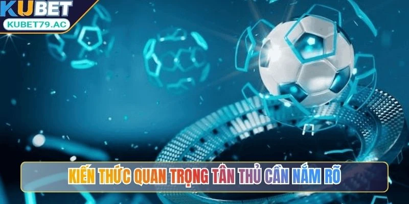 Kiến thức quan trọng tân thủ cần nắm rõ