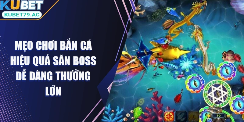 meo-choi-ban-ca