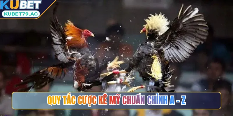 Quy tắc cược kê Mỹ chuẩn chỉnh A - Z