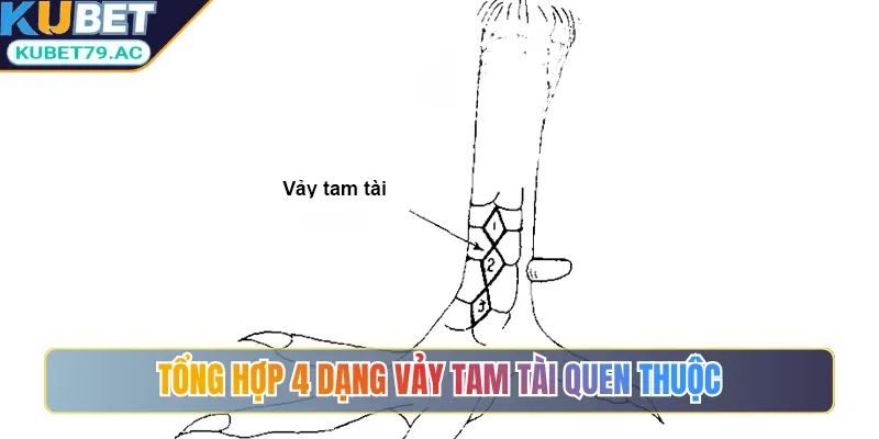 Tổng hợp 4 dạng vảy tam tài quen thuộc