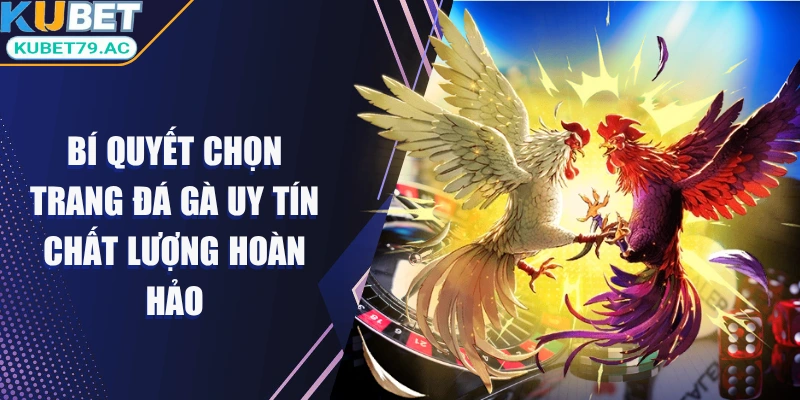 trang-da-ga-uy-tin