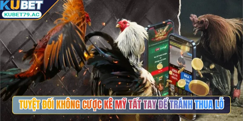 Tuyệt đối không cược kê Mỹ tất tay để tránh thua lỗ