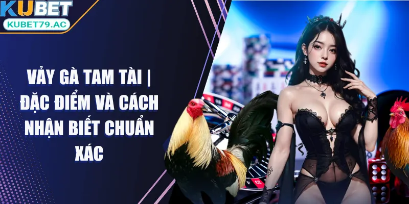 vay-ga-tam-tai